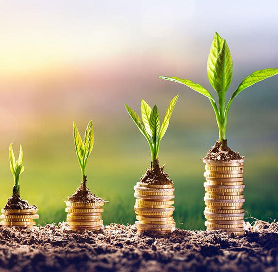 Ahorro Plazo FijoAhorro Plazo Fijo | 